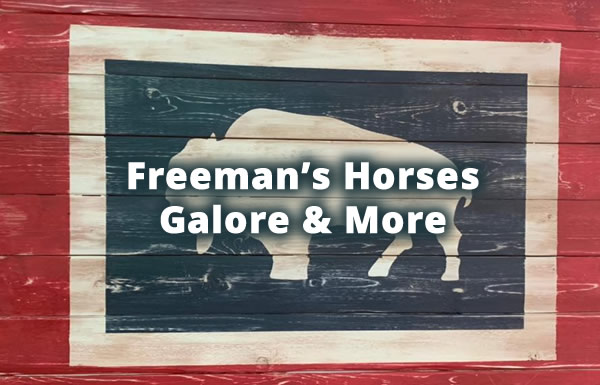 Freeman's Horses Galore & More